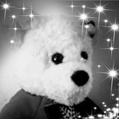 jenylilyan21212@gmail.com