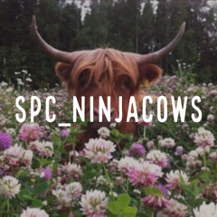 SPC_NinjaCows