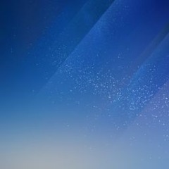 댕댕이