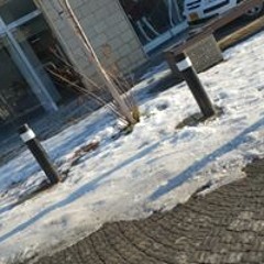 עוביידה ג'אבר