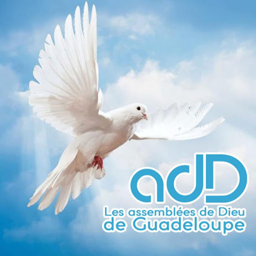 ADD Guadeloupe’s avatar