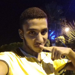 Mohamed Abdel-kareem