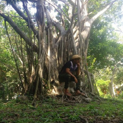 ser_seducer_psn Mente