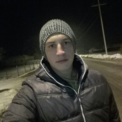 Martin Trajcevski