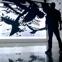 User 842478098