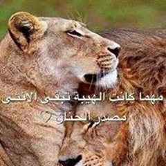 Tarek Farok