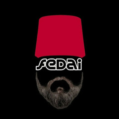 fedai bouncer