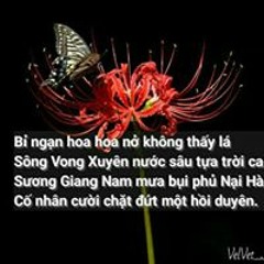 Nguyen Hoang Bao Quyen