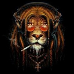 нове ебашило