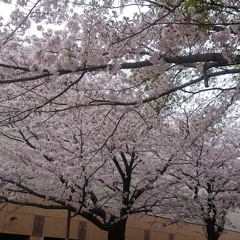 HoneyWorks