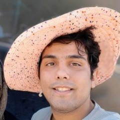 alireza baneshi