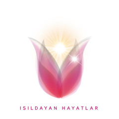 ARINMA&TOPRAKLANMA VE KALKANLANMA MEDİTASYONU - TEMEL SEVİYE