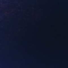 רונית פלדמן