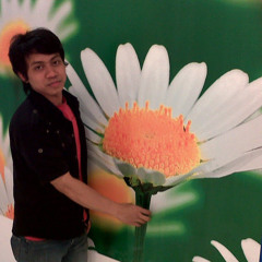 Ray Satria