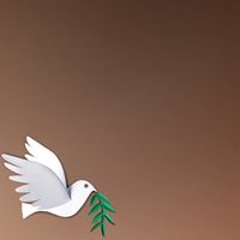 User 744326674