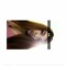 Mariah