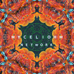 MyceliOhm Network