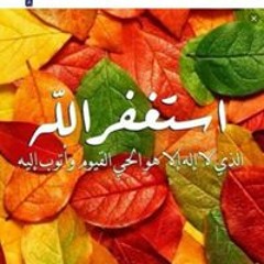 محمود لبيب الحلواني