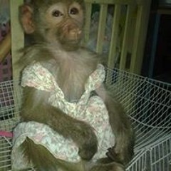 Mohammad