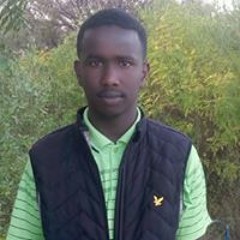 daud