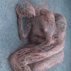 Emiro Stephens