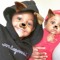 Daquatin Colson