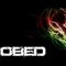 Obed