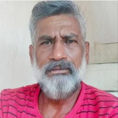 v logesh