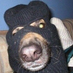 Hund