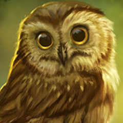 Wise Owl