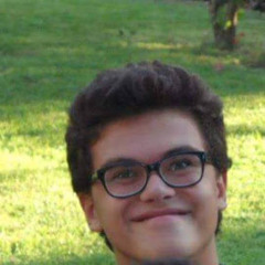 Adrian Ambrinoc