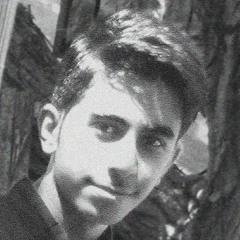 hassan moradnezhad