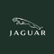 Jaguar Lv
