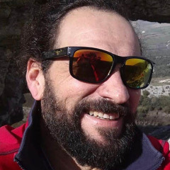 Guillermo Mestre