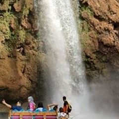 الموسى محمد