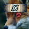 Fox Playsz