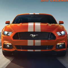 damustang man