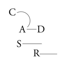 Conversations From The Center