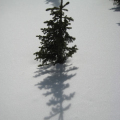 high noon