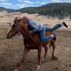 Brezhon Paul Spottedwolf