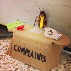 matheus sonic orlandi