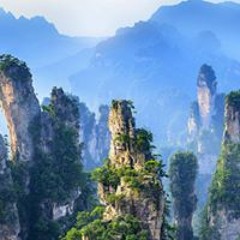 Hong Phat Lam