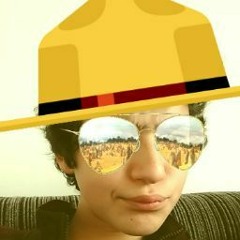 Rodsim