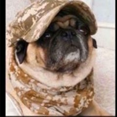 خالد المطيري