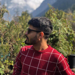 ankit sancheti