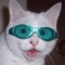 SirMeowcelot