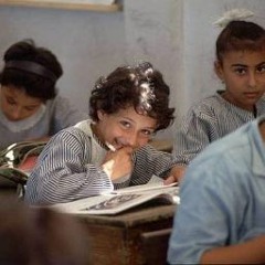 Aliaa Zein