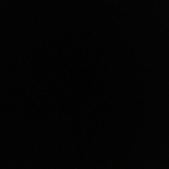 댜나무휄리콥텽수