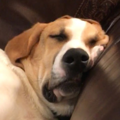 Play Something Country (Brooks & Dunn)cover