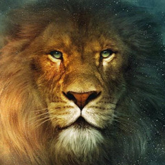 Ярослав Малюсейко